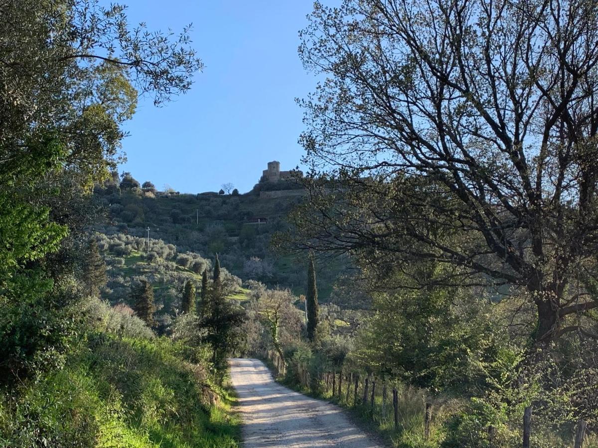 La Cianella - Adult Only Villa Scarlino Exterior photo